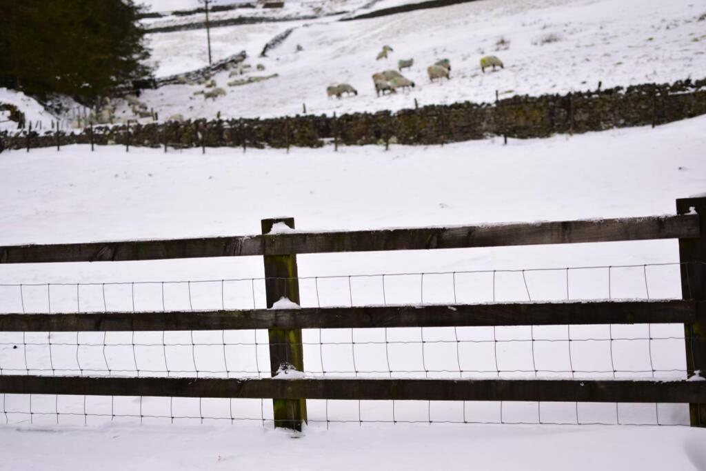 Cranmore House - A Walkers' And Cyclists' Dream Nenthead Esterno foto